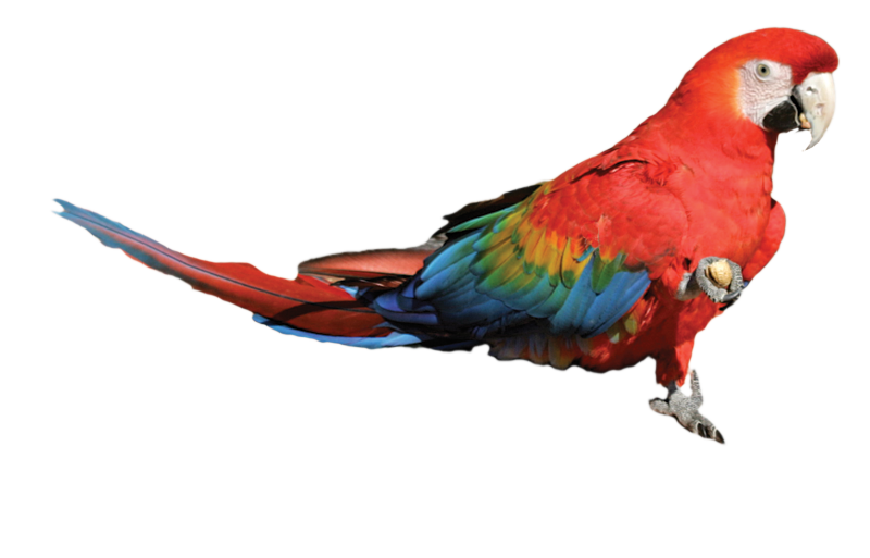 Label8